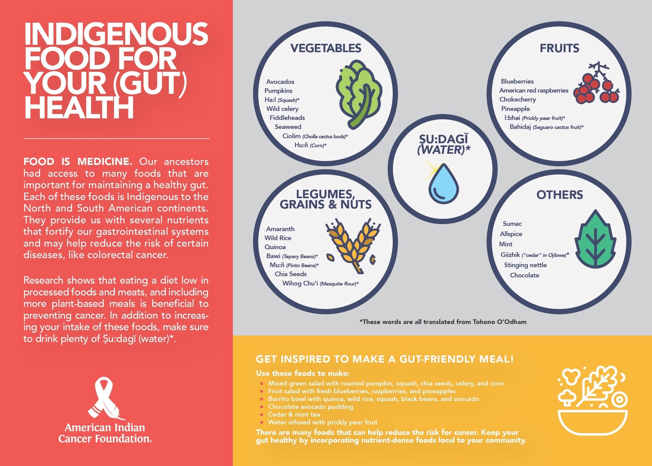 Gut Health Resource