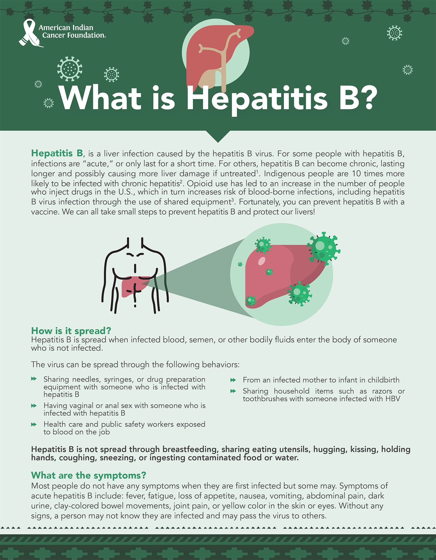 Hepatitis-B-Resource