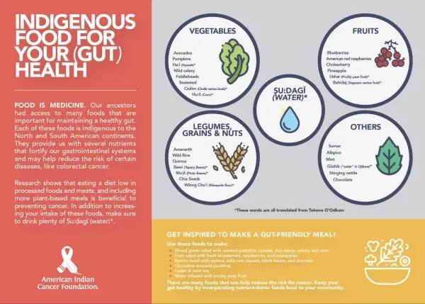 Infographic showing natural indigenous foods to maintain a healthy gut