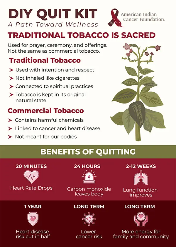 Illustration of a tobacco plant